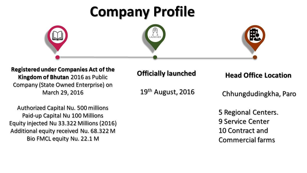 Company profile