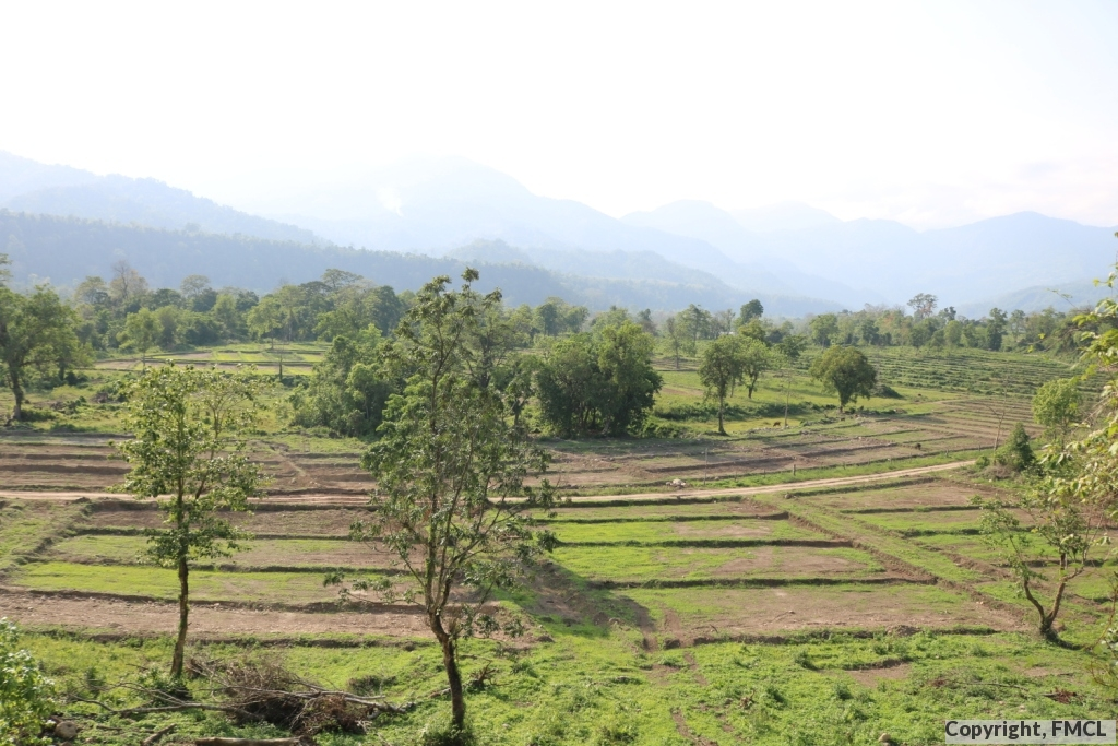 Commercial & Contract Farming